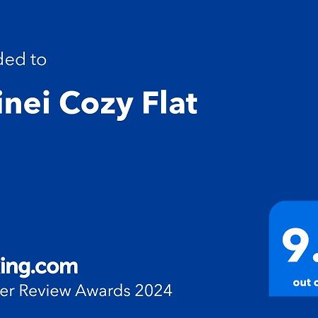 Doinei Cozy Flat Leilighet Timişoara Eksteriør bilde