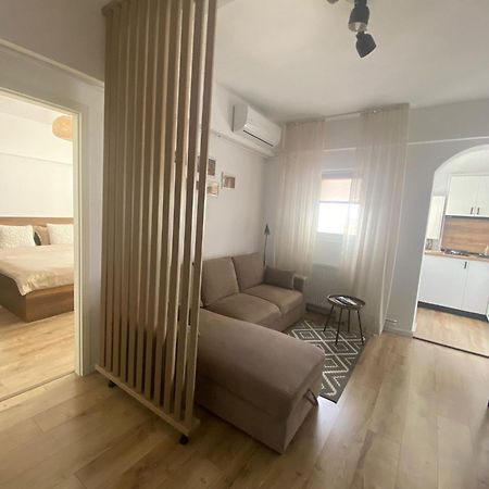 Doinei Cozy Flat Leilighet Timişoara Eksteriør bilde