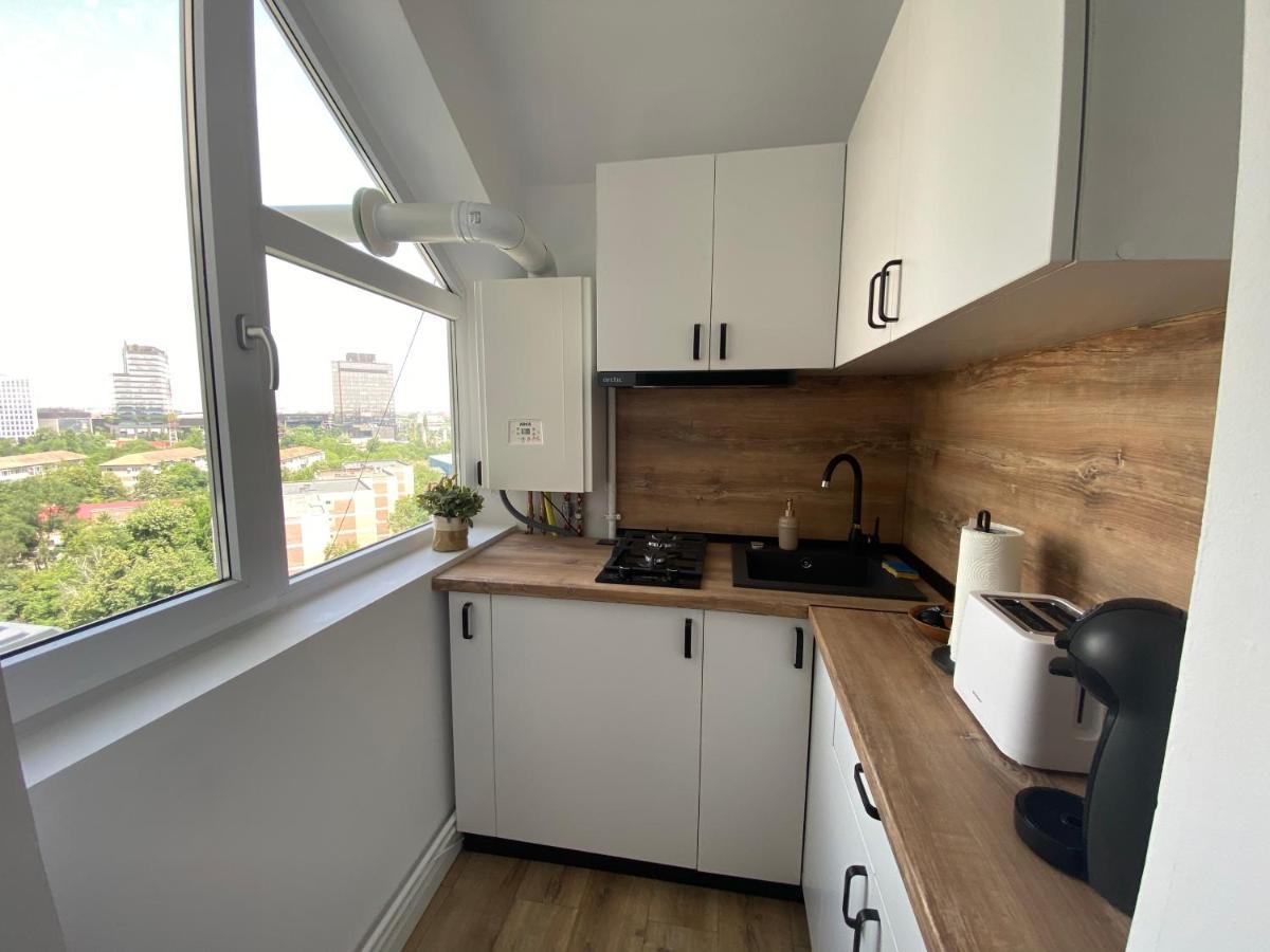 Doinei Cozy Flat Leilighet Timişoara Eksteriør bilde