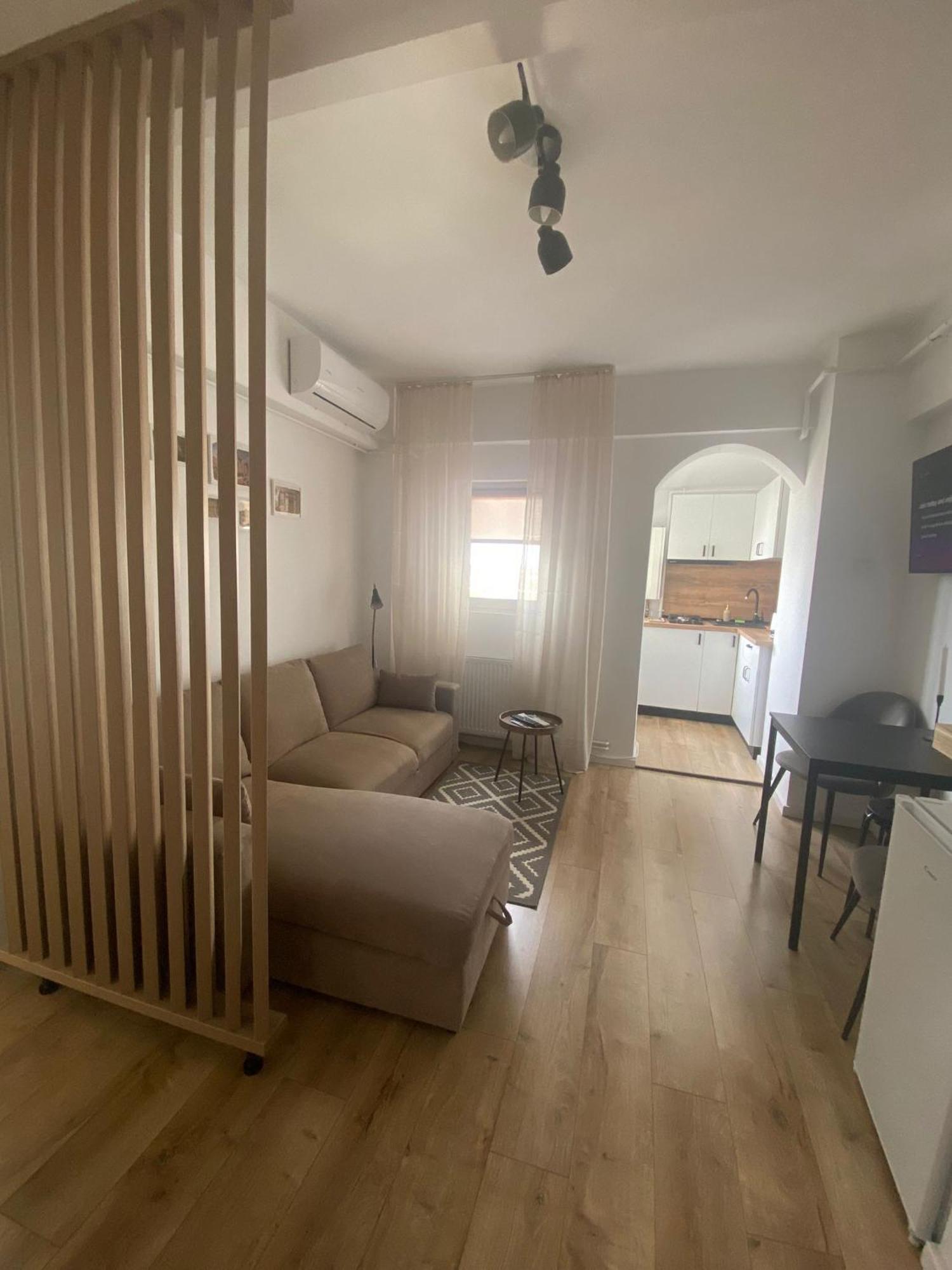 Doinei Cozy Flat Leilighet Timişoara Eksteriør bilde