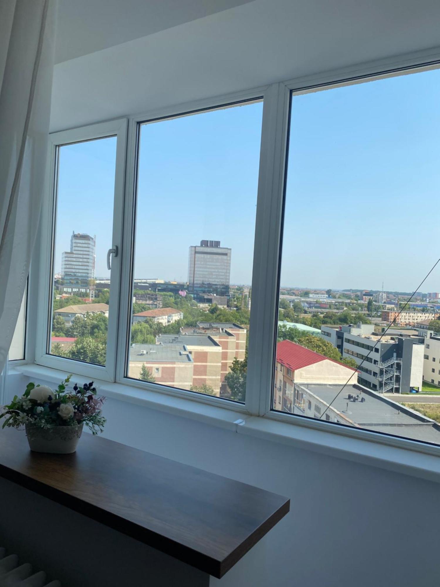 Doinei Cozy Flat Leilighet Timişoara Eksteriør bilde